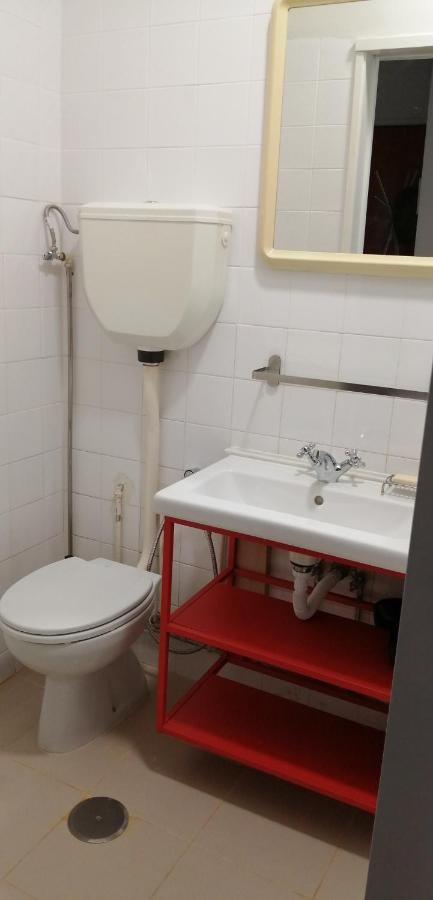 Alex Point - Guest House Viana do Castelo Eksteriør billede